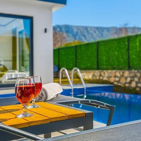 Villa Ortac 3 Doga Icerisinde, Korunakli *