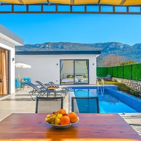 Ortac 3 Doga Icerisinde, Korunakli *