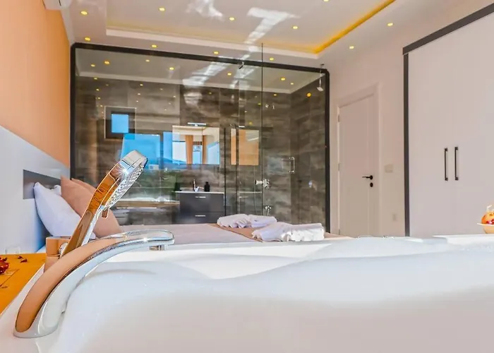 Villa Ortac 3 Doga Icerisinde, Korunakli Kaş